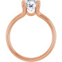 Additional Rose 2 Image img