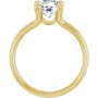Additional Yellow 2 Image img