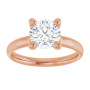 Additional Rose 3 Image img