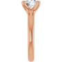 Additional Rose 4 Image img