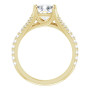 Additional Yellow 2 Image img