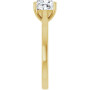 Additional Yellow 4 Image img