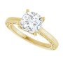 Additional Yellow 5 Image img