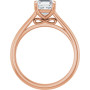 Additional Rose 2 Image img