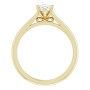 Additional Yellow 2 Image img