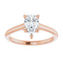 Additional Rose 3 Image img