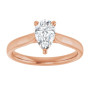 Additional Rose 3 Image img