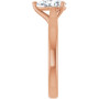 Additional Rose 4 Image img