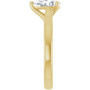 Additional Yellow 4 Image img