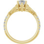 Additional Yellow 2 Image img