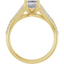 Additional Yellow 2 Image img