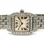 Cartier Santos Demoiselle Stainless Steel Women's Diamond Watch 20mm ~6ct (front view) img