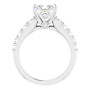 Additional White 2 Image img