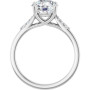 Additional White 2 Image img
