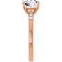 Additional Rose 4 Image img