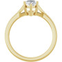 Additional Yellow 2 Image img