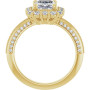 Additional Yellow 2 Image img