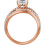 Additional Rose 2 Image img