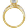 Additional Yellow 2 Image img