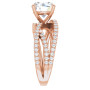 Additional Rose 4 Image img