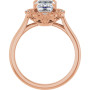 Additional Rose 2 Image img
