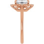 Additional Rose 4 Image img