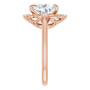 Additional Rose 4 Image img