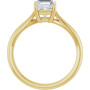 Additional Yellow 2 Image img