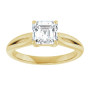 Additional Yellow 3 Image img