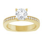 Additional Yellow 3 Image img