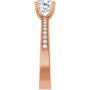 Additional Rose 4 Image img