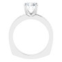 Additional White 2 Image img