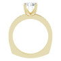 Additional Yellow 2 Image img