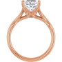 Additional Rose 2 Image img