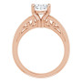 Additional Rose 2 Image img