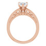 Additional Rose 2 Image img