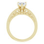 Additional Yellow 2 Image img