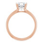 Additional Rose 2 Image img