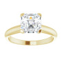 Additional Yellow 3 Image img