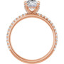 Additional Rose 2 Image img