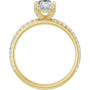 Additional Yellow 2 Image img