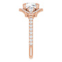 Additional Rose 4 Image img
