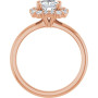Additional Rose 2 Image img