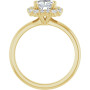 Additional Yellow 2 Image img