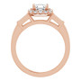 Additional Rose 2 Image img