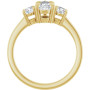 Additional Yellow 2 Image img