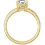 Additional Yellow 2 Image img
