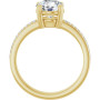 Additional Yellow 2 Image img