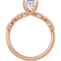 Additional Rose 2 Image img