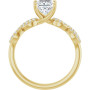 Additional Yellow 2 Image img